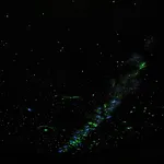 شقة فندقية Stacherhof