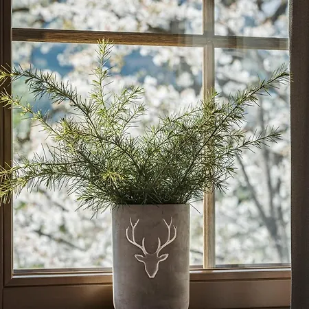 Lägenhetshotell Stacherhof 4*