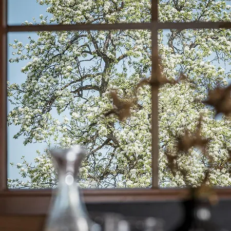 Aparthotel Stacherhof Fügen