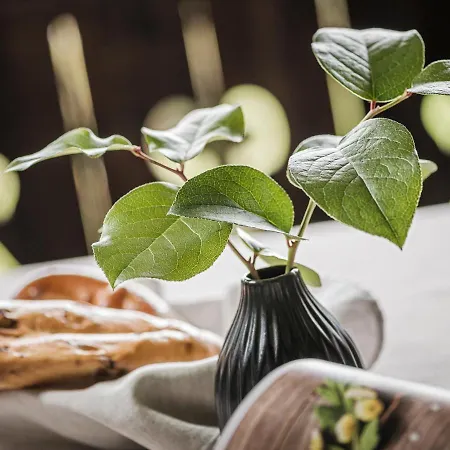 Stacherhof Апарт-отель 4*